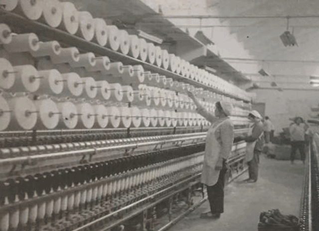 78e05f96-99dd-433f-882a-602044c02d6f (1).gif